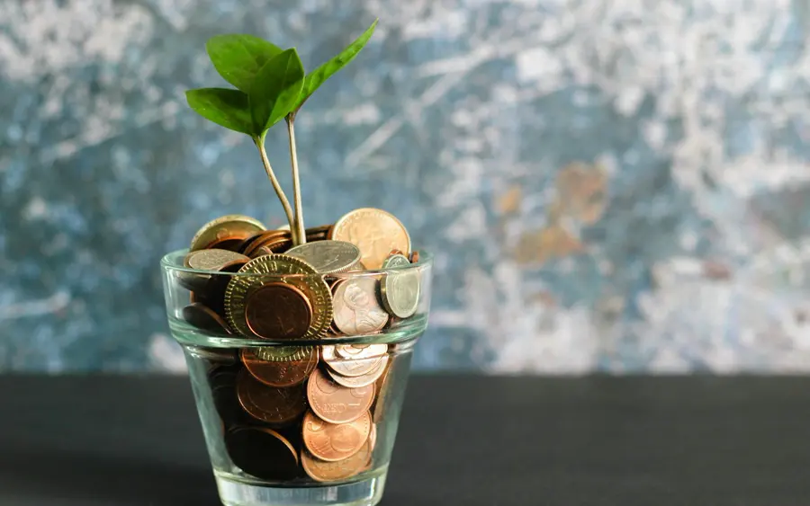 Une jeune pousse sort d'un verre rempli de pièces de monnaie